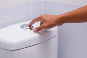 toilet-flush-button